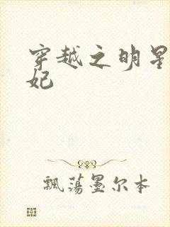 穿越之明星太子妃