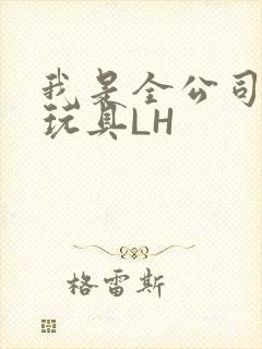 我是全公司发泄玩具LH