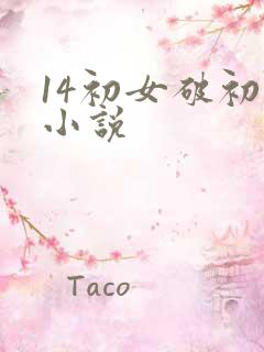 14初女破初的小说
