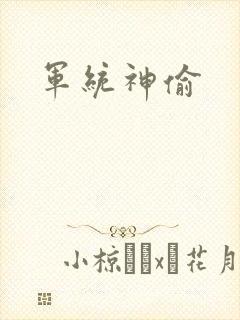 军统神偷