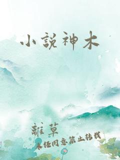 小说神木