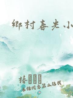 乡村春光小说