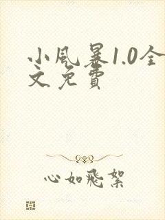 小风暴1.0全文免费