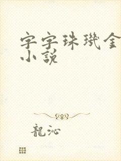 字字珠玑金银花小说