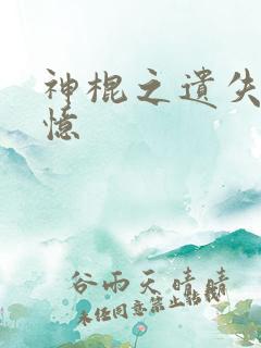 神棍之遗失的记忆