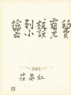 捡到校霸的遥控器小说免费阅读