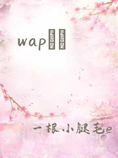 wapС˵