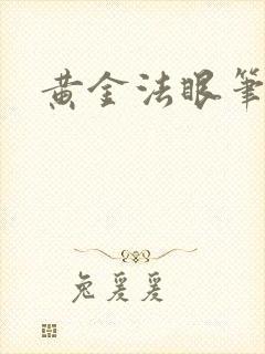 黄金法眼笔趣阁