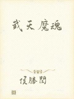 武天魔魂