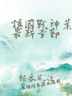 镇国战神叶君临最新章节