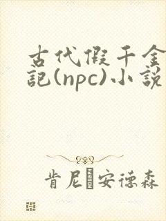 古代假千金挨日记(npc)小说