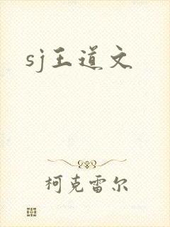 sj王道文