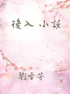 后入 小说