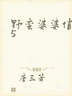 野蛮婆婆俏媳妇5