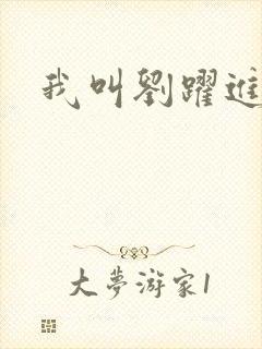 我叫刘跃进下载