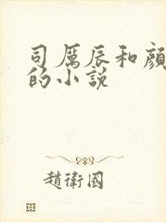 司厉辰和颜辞兮的小说