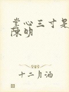 掌心三寸是人间陈明