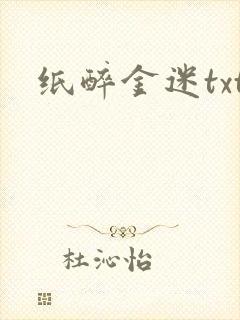 纸醉金迷txt