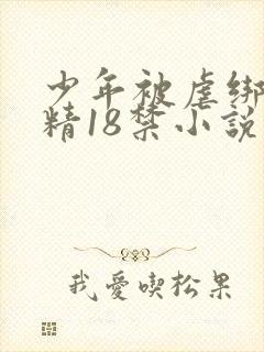 少年被虐绑着榨精18禁小说
