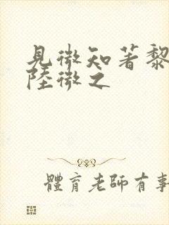 见微知著黎见卿陆微之