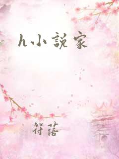 h小说家
