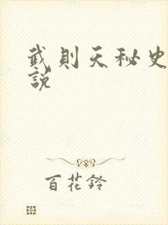 武则天秘史 小说