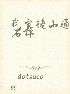 我家后山通仙界石锦