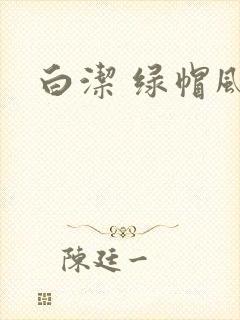 白洁 绿帽风云