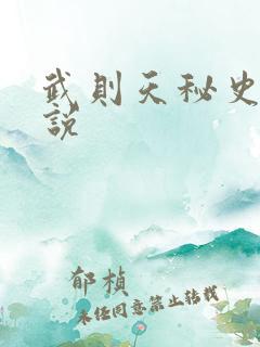 武则天秘史 小说