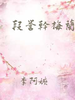 段誉干梅兰竹菊