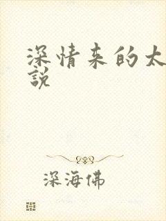 深情来的太迟小说