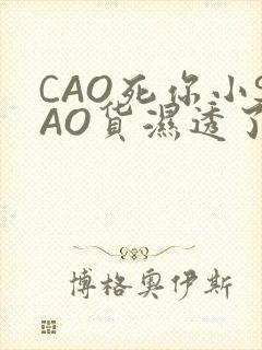 CAO死你小SAO货湿透了学长