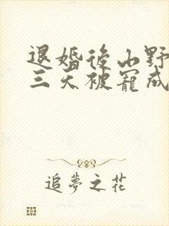 退婚后山野糙汉三天被宠成宝小说