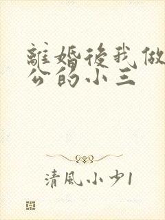 离婚后我做了老公的小三