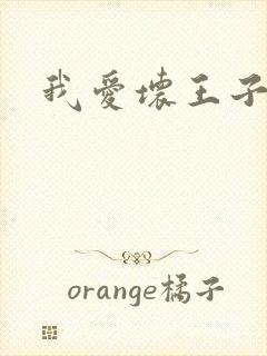 我爱坏王子