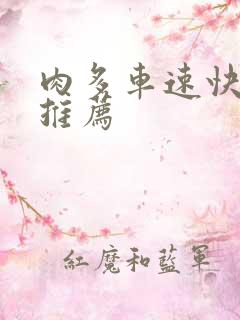 肉多车速快的书推荐