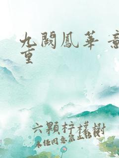 九阙凤华 意千重