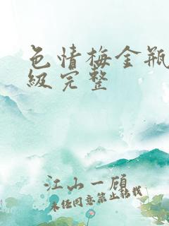 色情梅金瓶2三级完整