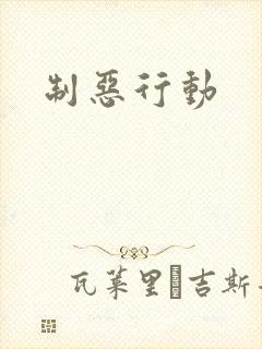 制恶行动