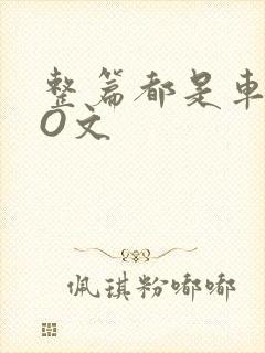 整篇都是车的PO文