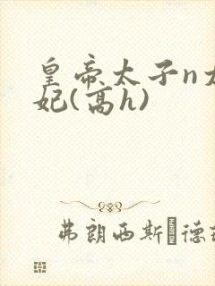 皇帝太子n太子妃(高h)