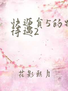 快递员5的特殊待遇2