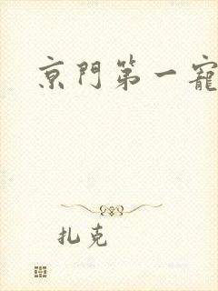 京门第一宠