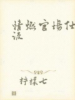 情燃官场仕途风流