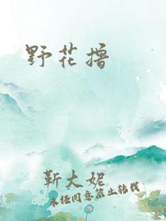 野花撸