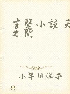 有声小说 天地之间