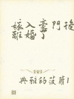 嫁入豪门后我又离婚了