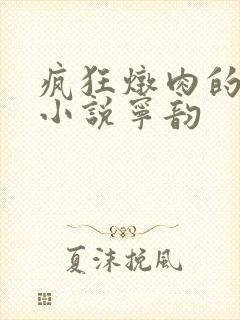 疯狂炖肉的全部小说宁韵