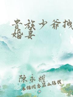 贵族少爷拽拽未婚妻