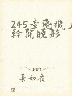 245章飞机上干关晓彤